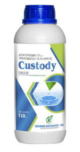 CUSTODY