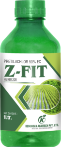 Z FIT